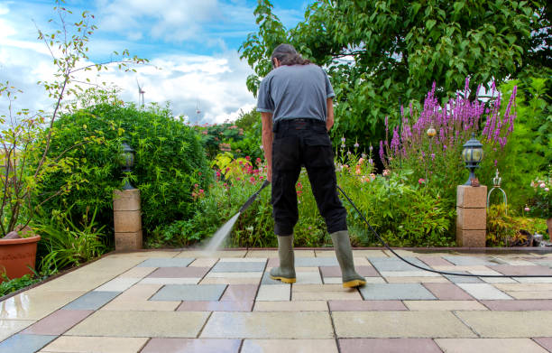 Best Animal Enclosure Cleaning  in Stanton, TX